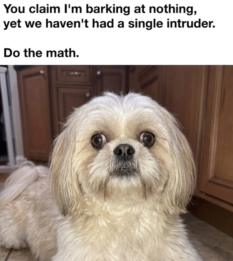 You claim I'm barking at nothing, yet we haven't had a single intruder. Do the math.