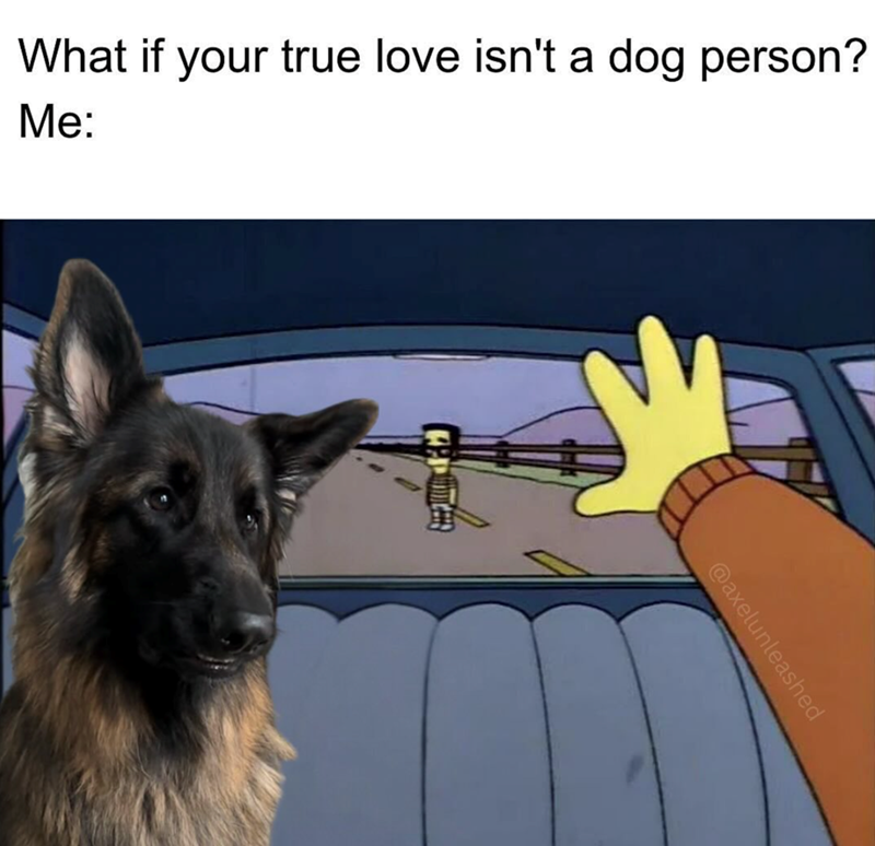 What if your true love isn't a dog person? Me: @axelunleashed