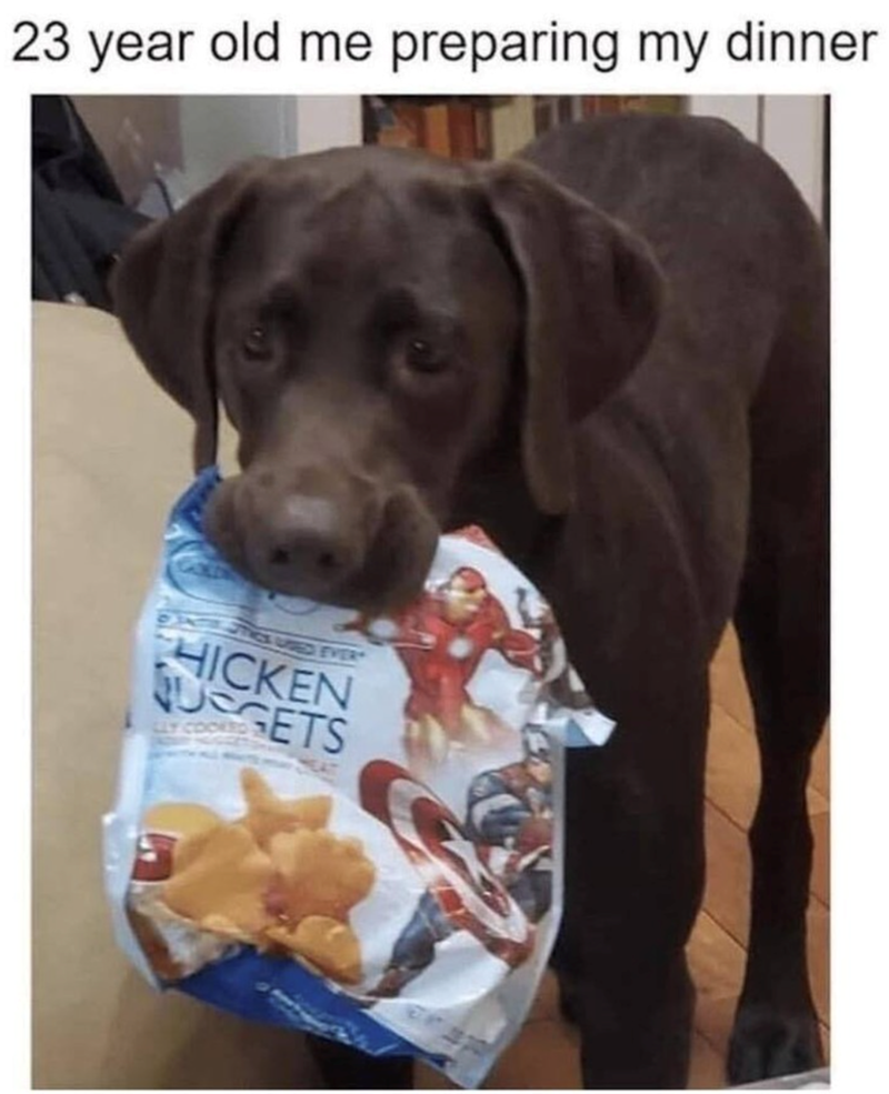 23 year old me preparing my dinner STICK USTED EVER HICKEN PUSGETS