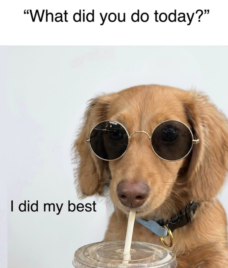 "What did you do today?" I did my best