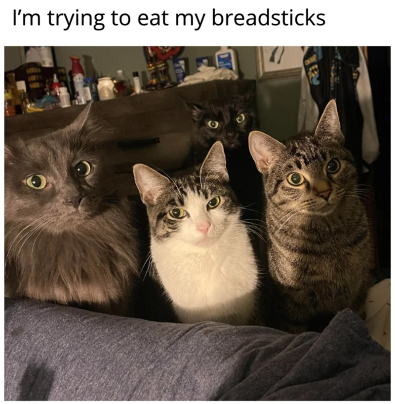 I'm trying to eat my breadsticks