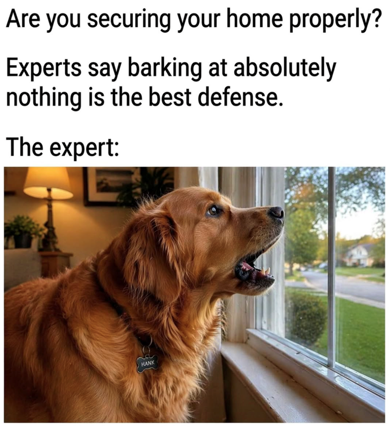 Are you securing your home properly? Experts say barking at absolutely nothing is the best defense. The expert: na HANK