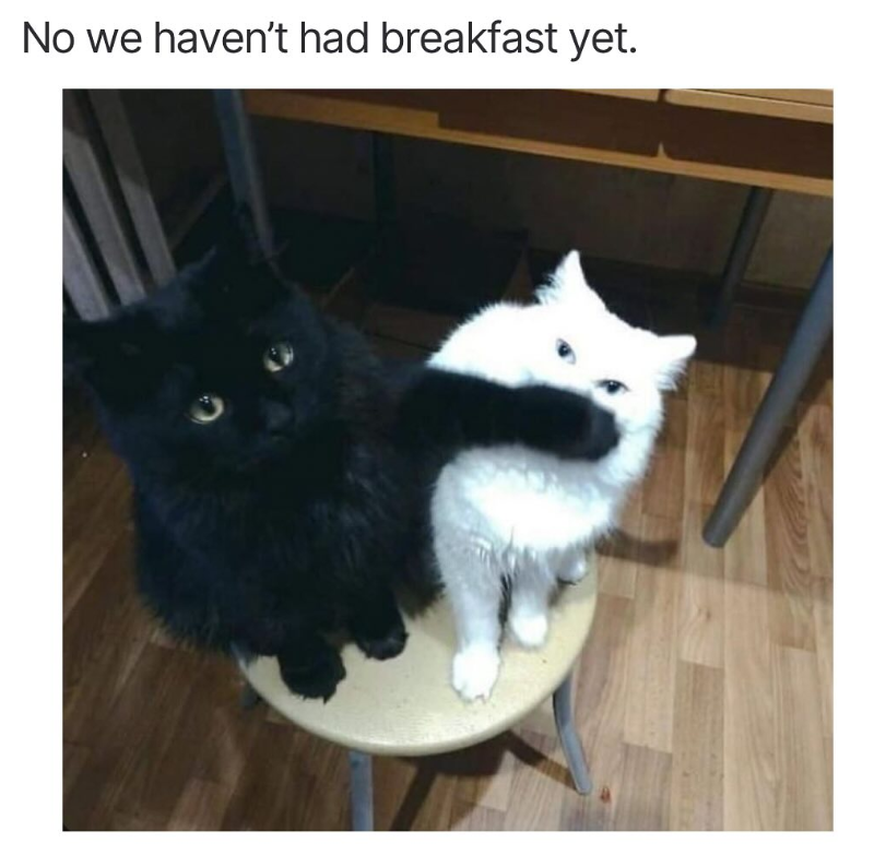 No we haven't had breakfast yet.