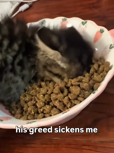 his greed sickens me