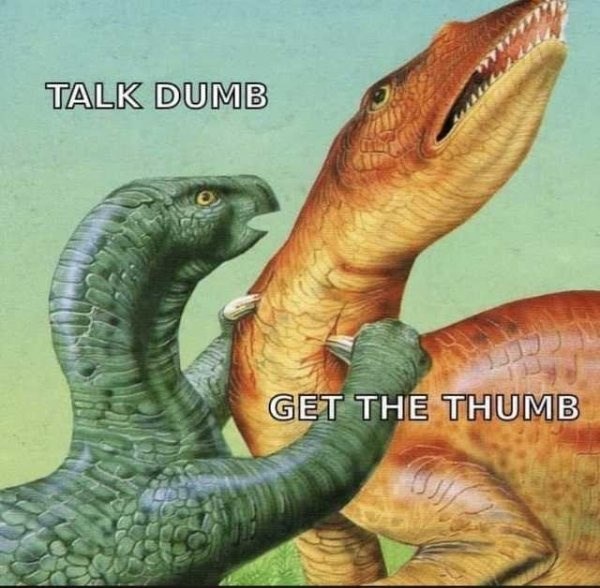TALK DUMB GET THE THUMB