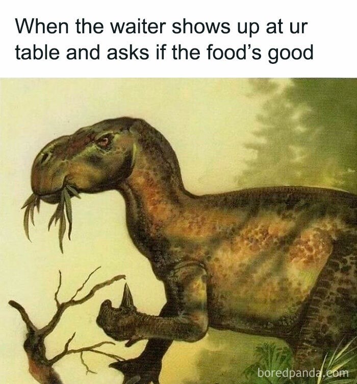 When the waiter shows up at ur table and asks if the food's good boredpanda.com
