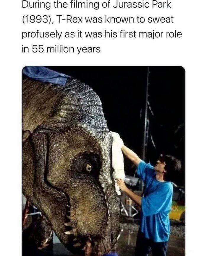 During the filming of Jurassic Park (1993), T-Rex was known to sweat profusely as it was his first major role in 55 million years
