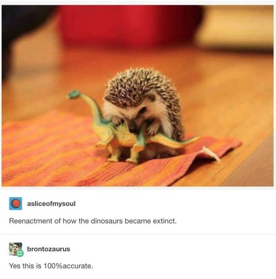 asliceofmysoul Reenactment of how the dinosaurs became extinct. brontozaurus Yes this is 100% accurate.