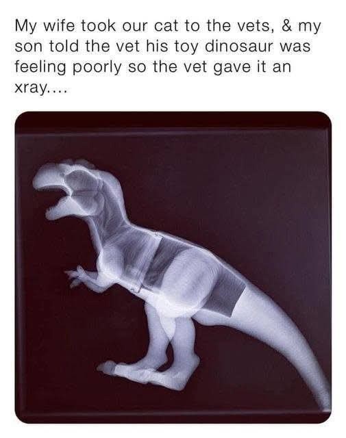 My wife took our cat to the vets, & my son told the vet his toy dinosaur was feeling poorly so the vet gave it an xray....