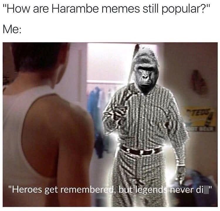 "How are Harambe memes still popular?" Me: TEDS "Heroes get remembered, but legends never di "