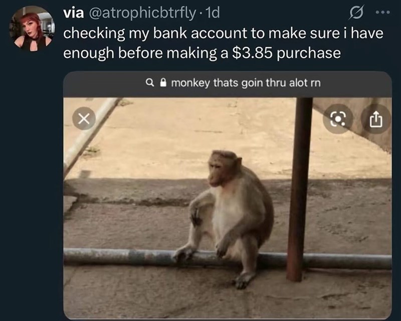 via @atrophicbtrfly . 1d checking my bank account to make sure i have enough before making a $3.85 purchase Q monkey thats goin thru alot rn Th