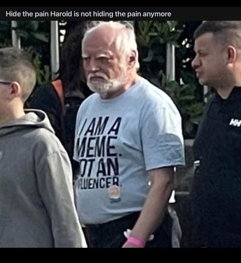 Hide the pain Harold is not hiding the pain anymore AMA MEME TAN FLUENCER WH