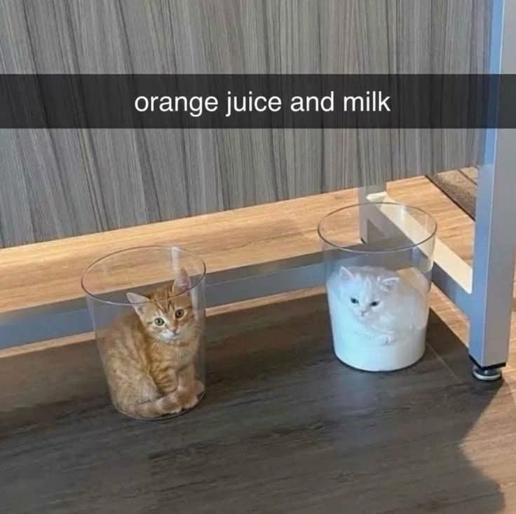 orange juice and milk