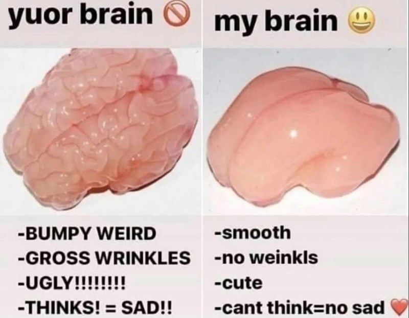 yuor brain my brain -BUMPY WEIRD -GROSS WRINKLES -UGLY!!!!!!!! -THINKS! = SAD!! -smooth -no weinkls -cute -cant think=no sad
