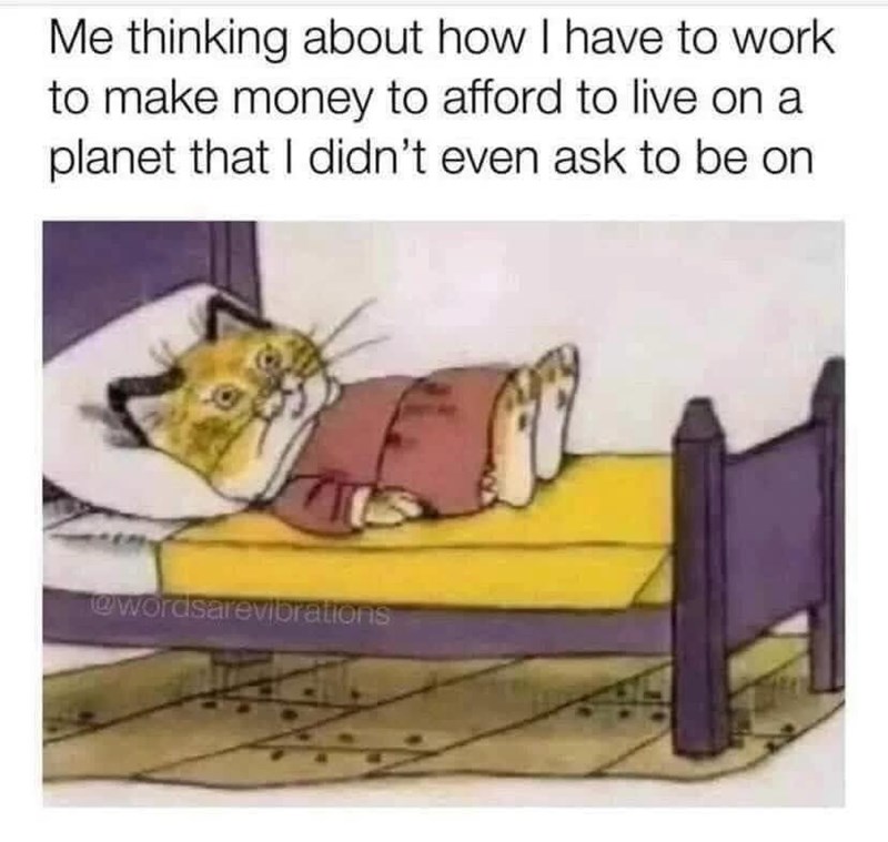 Me thinking about how I have to work to make money to afford to live on a planet that I didn't even ask to be on @wordsarevibrations