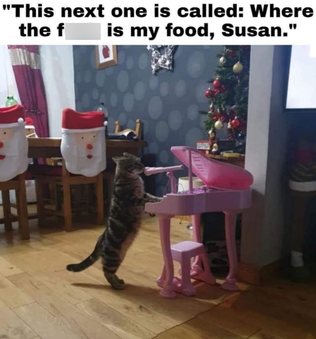 "This next one is called: Where the f is my food, Susan."