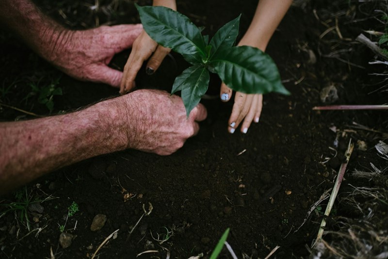 An illustration of a happy couple planting a tree together as a symbol of growth, love, and new beginnings.