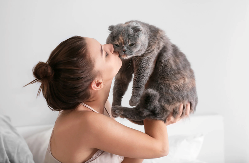 Woman kissing gray cat on its head.