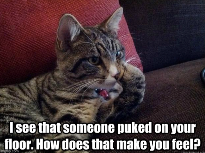 I see that someone puked on your floor. How does that make you feel? imgflip.com quickmeme.com