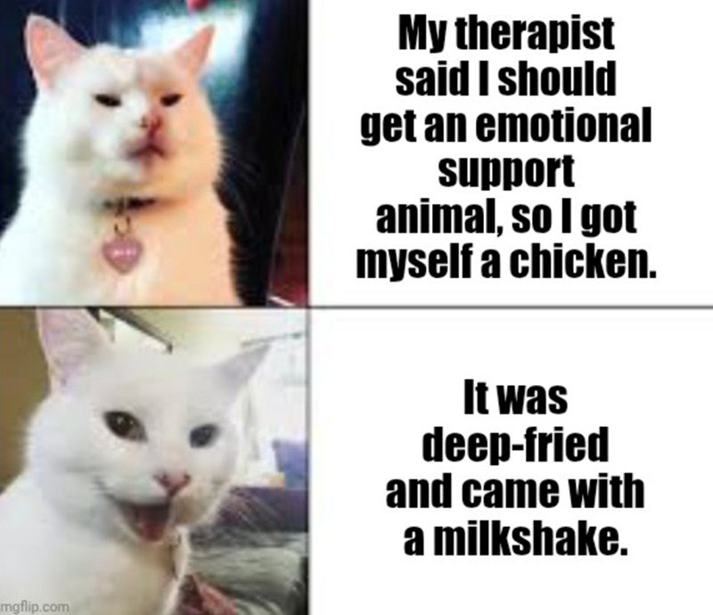 mgflip.com My therapist said I should get an emotional support animal, so I got myself a chicken. It was deep-fried and came with a milkshake.