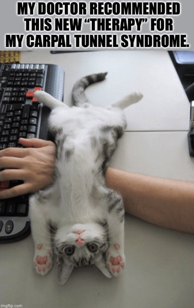 MY DOCTOR RECOMMENDED THIS NEW "THERAPY" FOR MY CARPAL TUNNEL SYNDROME. 0 imgflip.com
