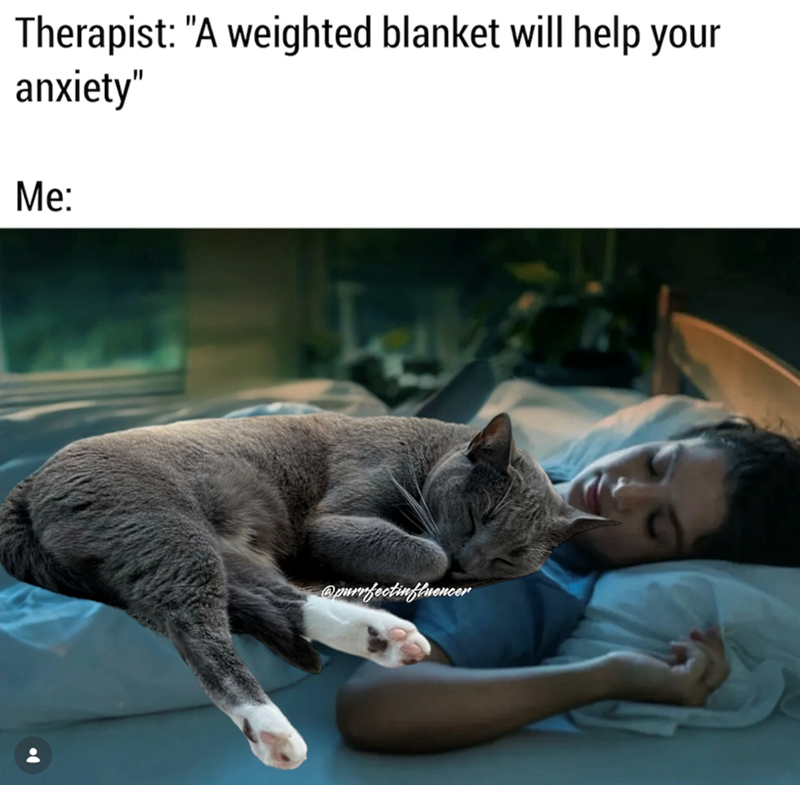 Therapist: "A weighted blanket will help your anxiety" Me: @purrfectinfluencer