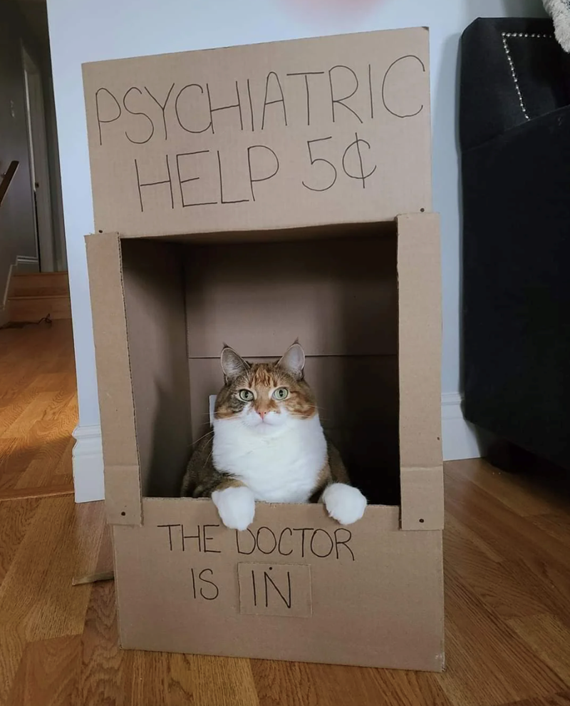 PSYCHIATRIC HELP 5¢ THE DOCTOR IS IN