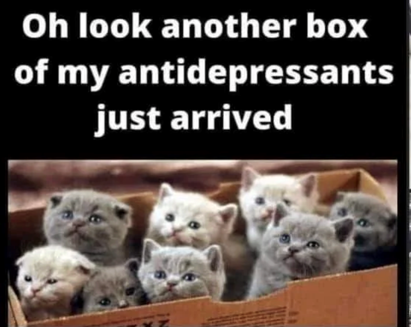 Oh look another box of my antidepressants just arrived