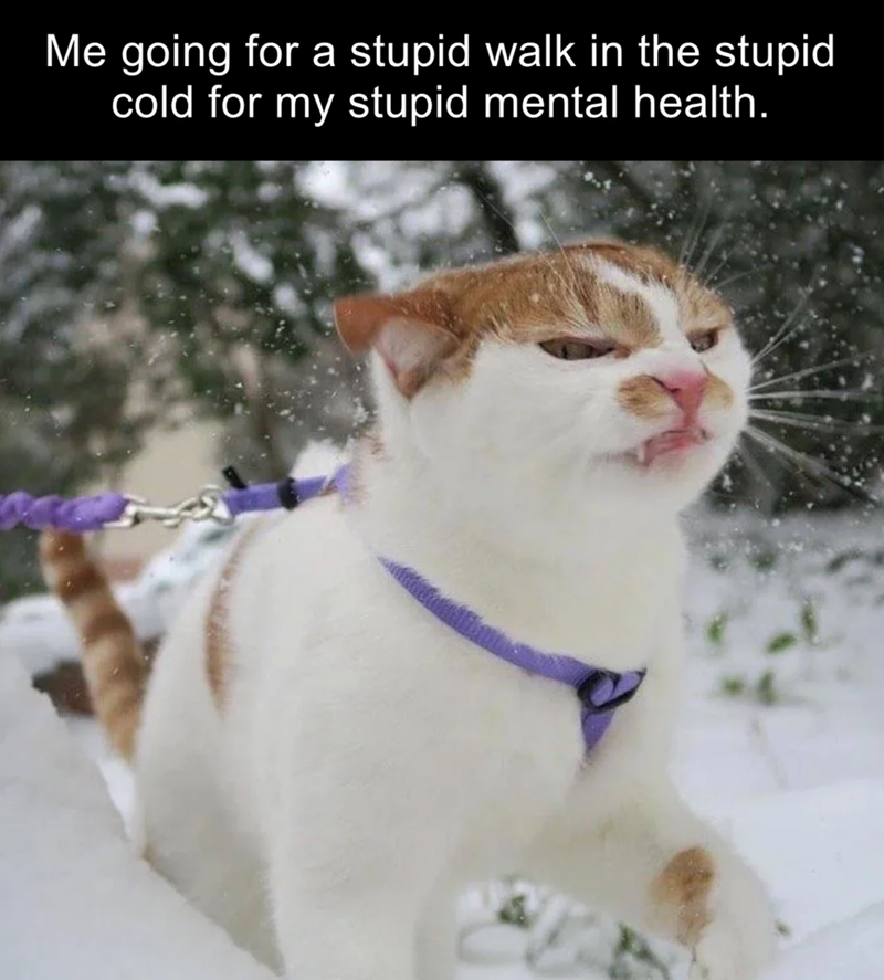 Me going for a stupid walk in the stupid cold for my stupid mental health.