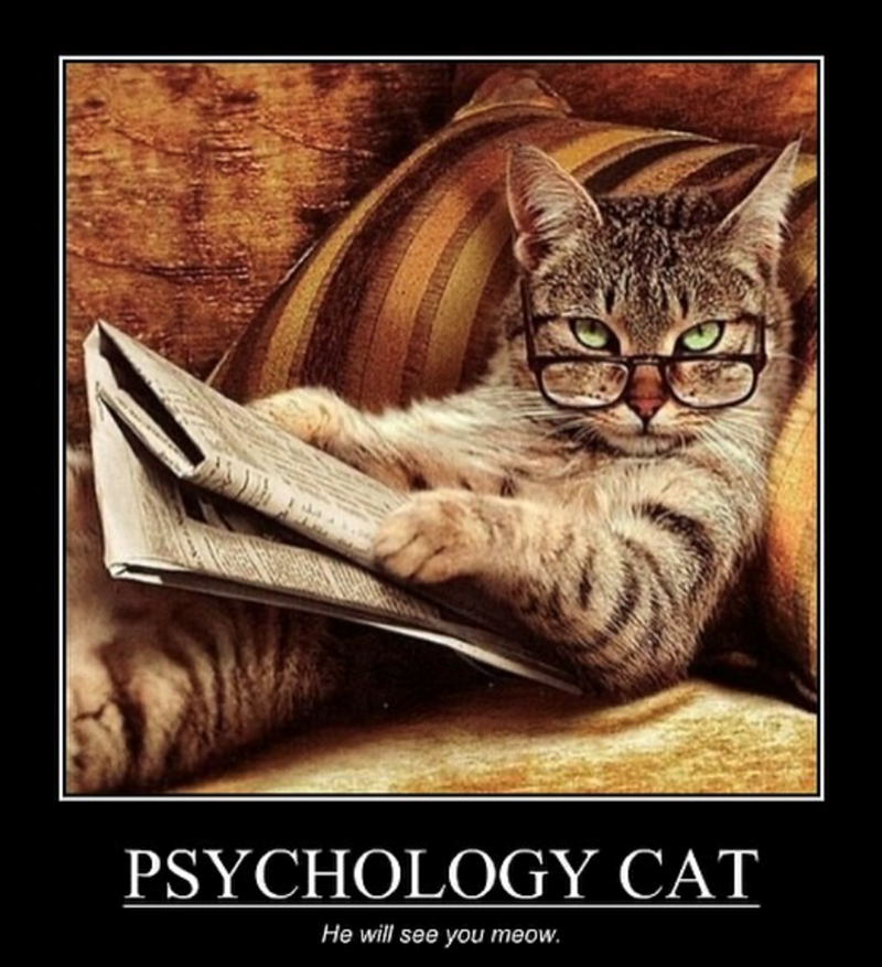 PSYCHOLOGY CAT He will see you meow.