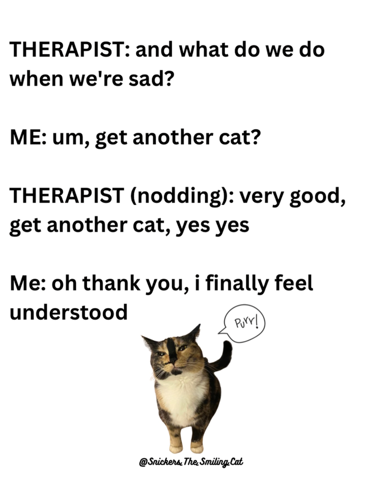 THERAPIST: and what do we do when we're sad? ME: um, get another cat? THERAPIST (nodding): very good, get another cat, yes yes Me: oh thank you, i finally feel understood Purr! @Snickers. The Smiling Cat
