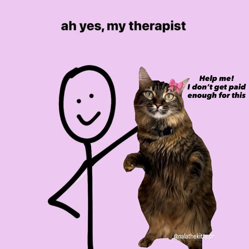 ah yes, my therapist Help me! I don't get paid enough for this Onalathekitty.pr