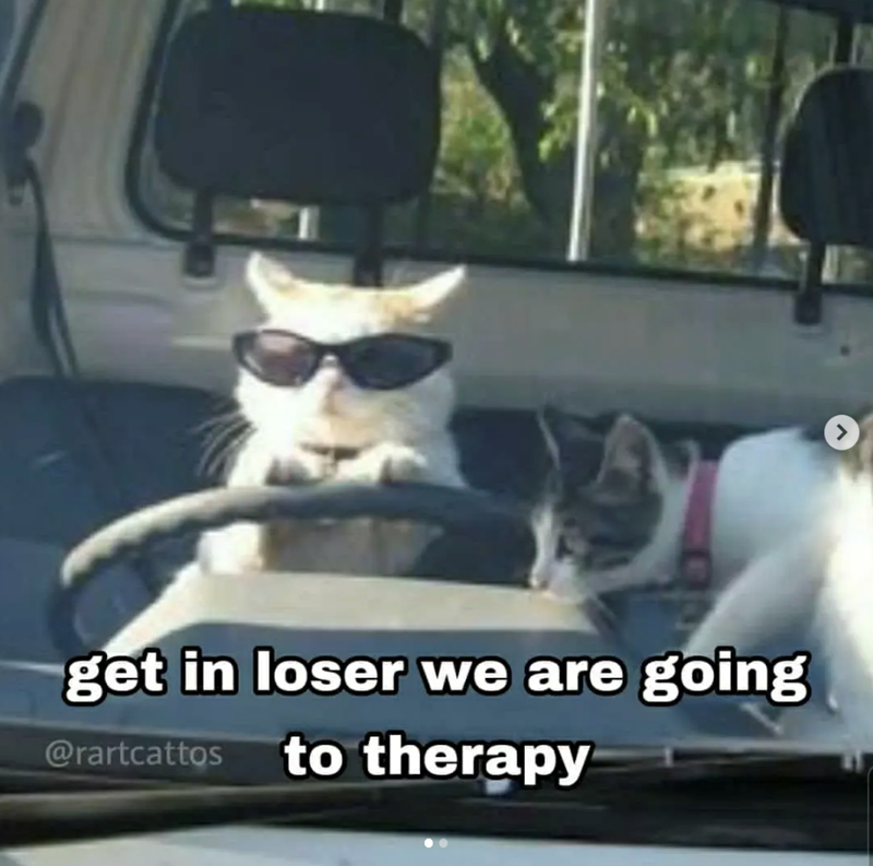get in loser we are going @rartcattos to therapy >