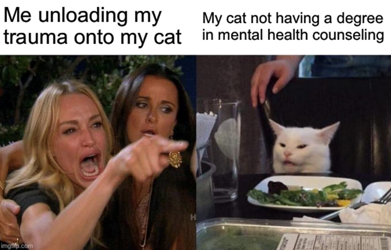 Me unloading my trauma onto my cat imgfilp.com H My cat not having a degree in mental health counseling