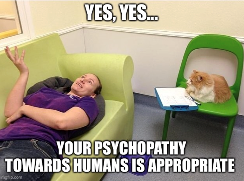 YES, YES... YOUR PSYCHOPATHY TOWARDS HUMANS IS APPROPRIATE imgflip.com