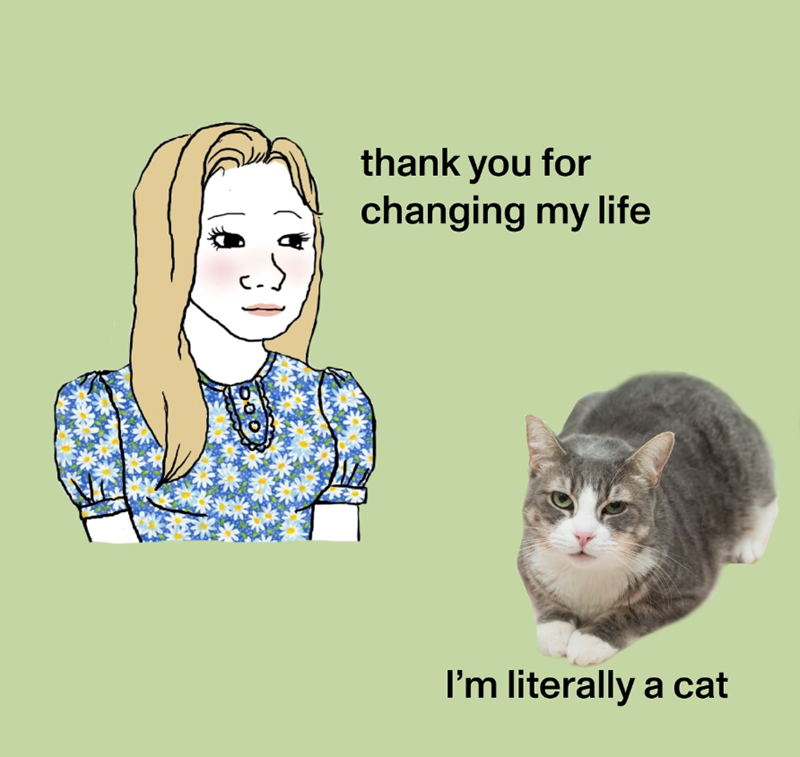 thank you for changing my life I'm literally a cat