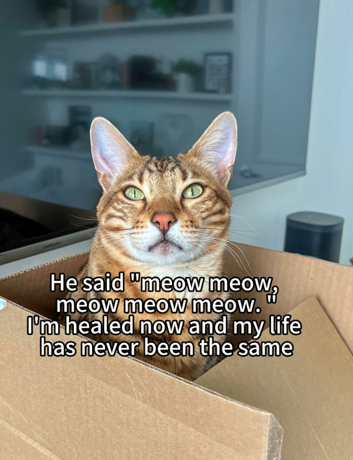 SAMSUNG He said "meow meow meow meow meow. I'm healed now and my life has never been the same