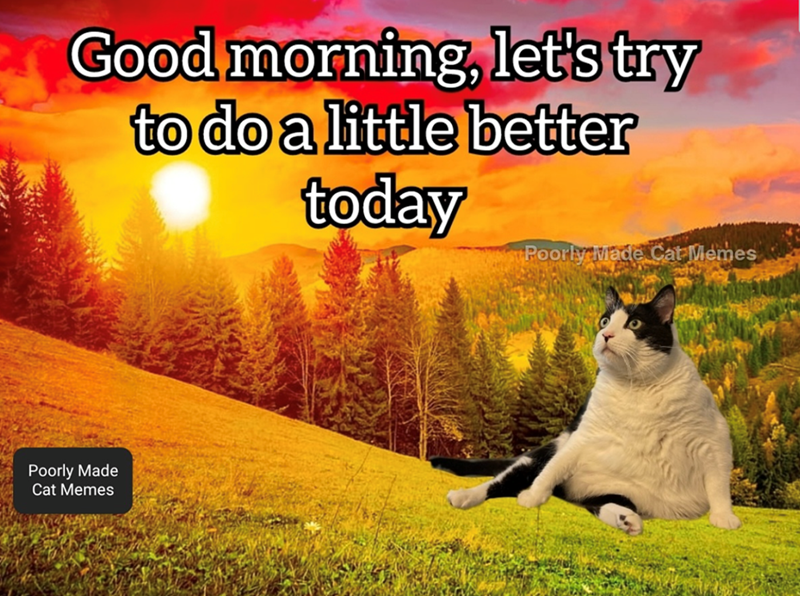 Good morning, let's try to do a little better today Poorly Made Cat Memes Poorly Made Cat Memes