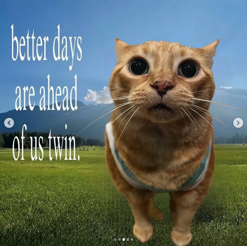 < better days are ahead of us twin >
