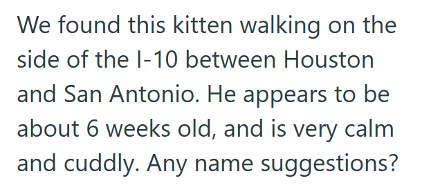 We found this kitten walking on the side of the I-10 between Houston and San Antonio. He appears to be about 6 weeks old, and is very calm and cuddly. Any name suggestions?