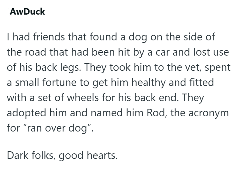 AwDuck I had friends that found a dog on the side of the road that had been hit by a car and lost use of his back legs. They took him to the vet, spent a small fortune to get him healthy and fitted with a set of wheels for his back end. They adopted him and named him Rod, the acronym for "ran over dog". Dark folks, good hearts.