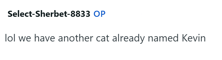 Select-Sherbet-8833 OP lol we have another cat already named Kevin