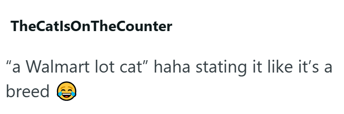 TheCatlsOnTheCounter "a Walmart lot cat” haha stating it like it's a breed