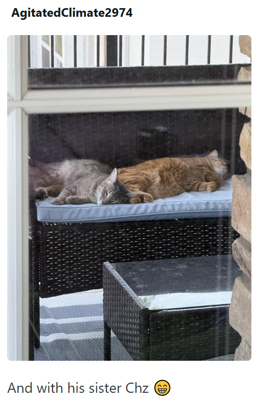 AgitatedClimate2974 And with his sister Chz