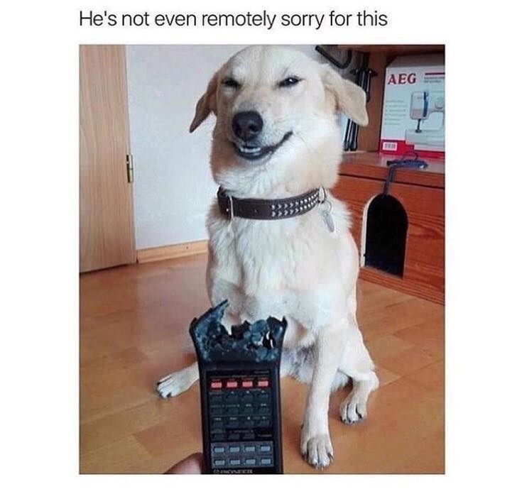 He's not even remotely sorry for this AEG