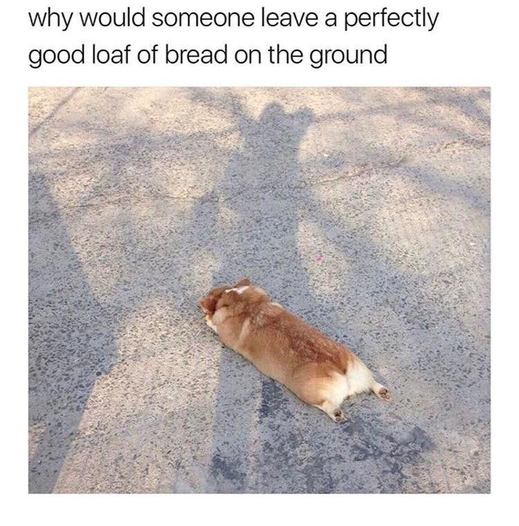 why would someone leave a perfectly good loaf of bread on the ground
