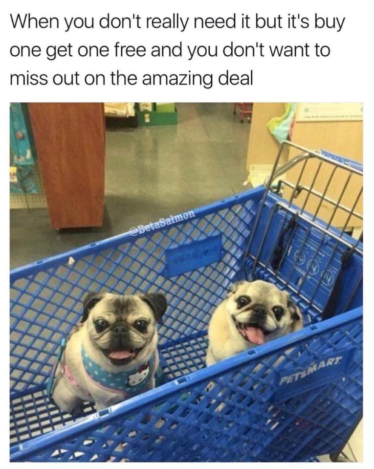 When you don't really need it but it's buy one get one free and you don't want to miss out on the amazing deal @BetaSalmon PETSMART
