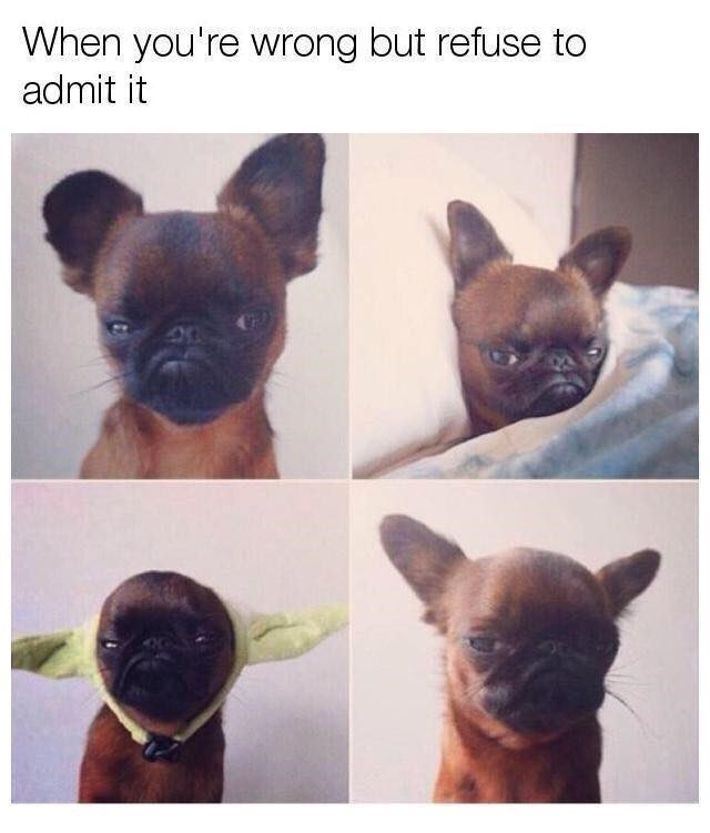 When you're wrong but refuse to admit it 40