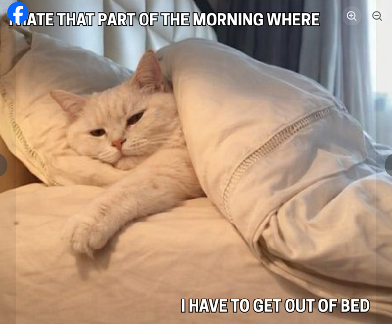 f.ATE THAT PART OF THE MORNING WHERE O I HAVE TO GET OUT OF BED