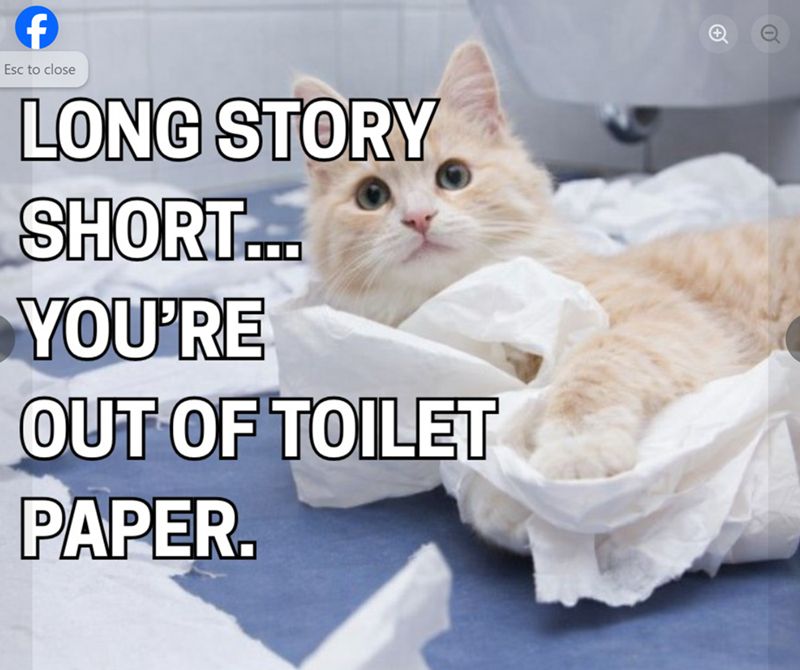 f Esc to close LONG STORY SHORT... YOU'RE OUT OF TOILET PAPER.